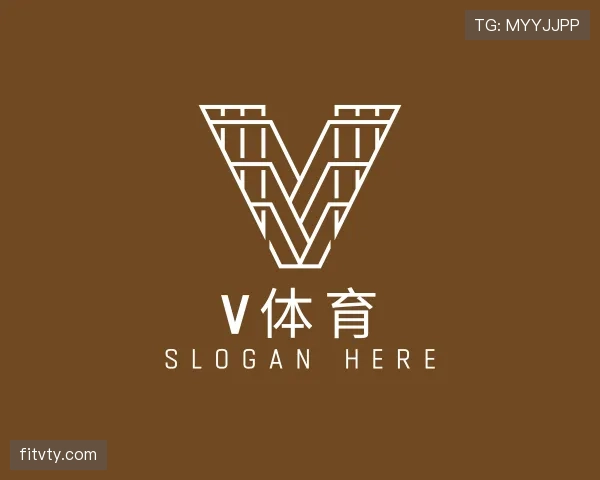 解读V体育